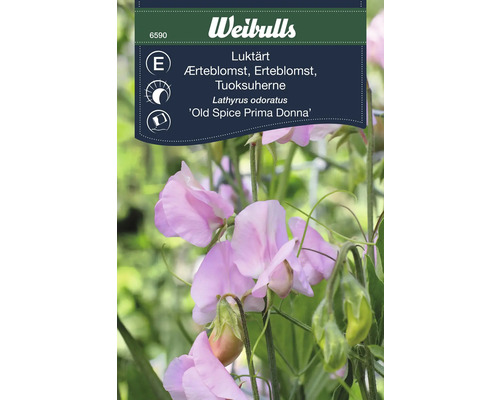 Weibulls Luktärt 'Old Spice Prima Donna' fröförpackning