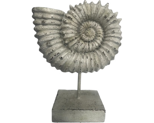 Dekorativ ammonit fossil skulptur på stativ
