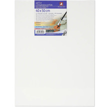 Canvas kartong, 40x50 cm, lämplig för hobby- och professionella målare, förgrundad, 100 procent bomull