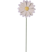 Dekorativ trädgårdsplugg prästkrage med stjälk