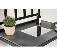 Detaljvy av ett tvättställ med växt, tvålpump och handduk