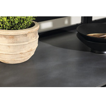 Dekorativ arbetsbänk med växt och skålar