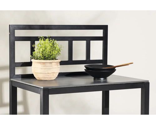 Trädgårdsbord med växt och skålar