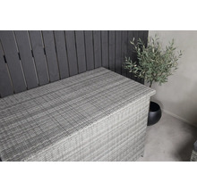 Trädgårdsförvaringslåda av rotting bredvid en växt