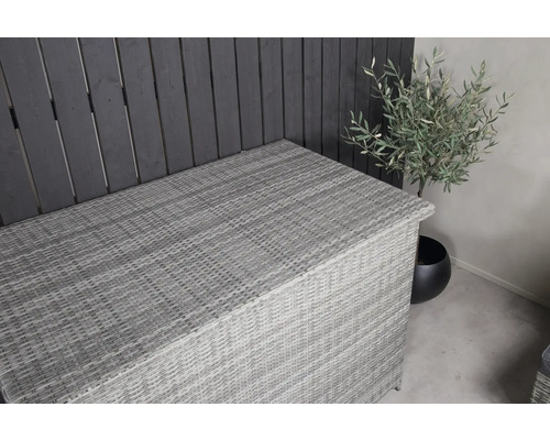 Trädgårdsförvaringslåda av rotting bredvid en växt