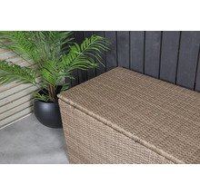 Trädgårdslåda i rotting med växt i kruka