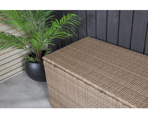 Trädgårdslåda i rotting med växt i kruka