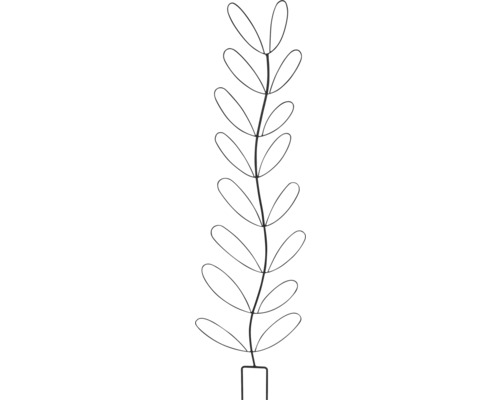Illustration av en växt med avlånga blad och en enkel kruka