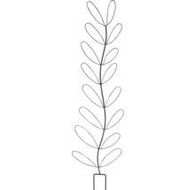 Illustration av en växt med ovala blad i en rektangulär kruka