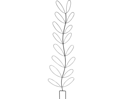 Illustration av en växt med ovala blad i en rektangulär kruka