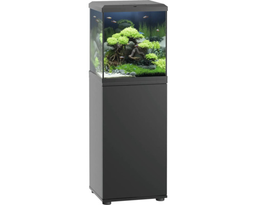 Akvariekombination JUWEL Vio Cube 54 inkl. LED-belysning, värmare, filter & möbel SBX Vio Cube 54 svart Akvarium med underskåp och planterad interiör
