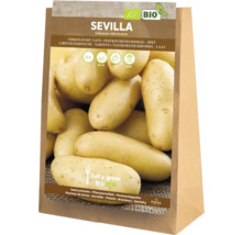 Förpackning sättpotatis Sevilla