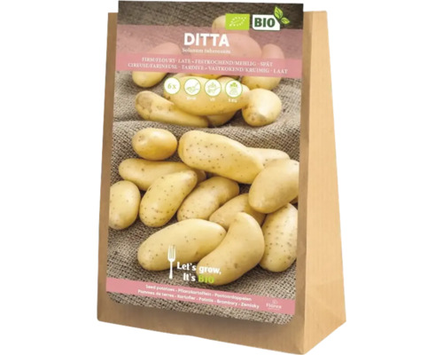 Ditta sättpotatis i fem kilograms säck