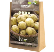 Sättpotatis Twinner, fastkokande, 5 kilogram