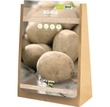 Agria sättpotatis, 5 kilogram, fastkokande, sen sort, ekologisk kvalitet