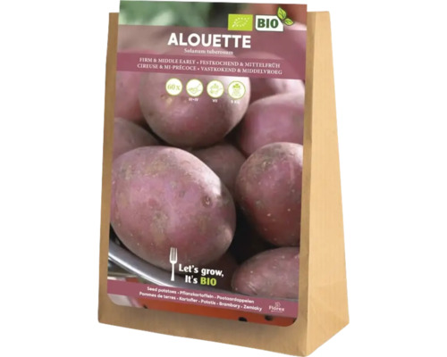 Sättpotatis Alouette, fast och medeltidig, 5 kilogram