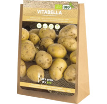Vitabella sättpotatis, fastkokande, 5 kilogram