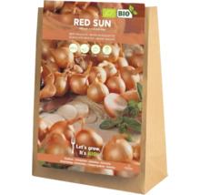 Röda schalottenlökar i en papperspåse