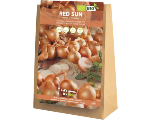 Ekologisk sättlök röd schalott 'Red Sun' 6st Röda schalottenlökar i en papperspåse