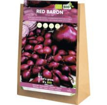 Vinterlökset Red Baron i en papperspåse