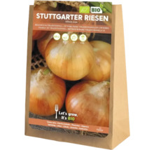 Sättlök Stuttgarter Riesen i en papperspåse