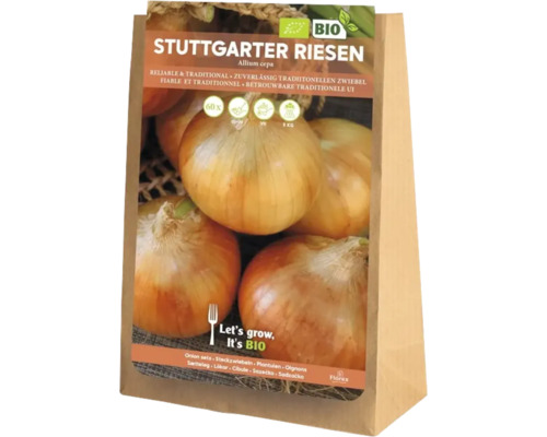 Sättlök Stuttgarter Riesen i en papperspåse