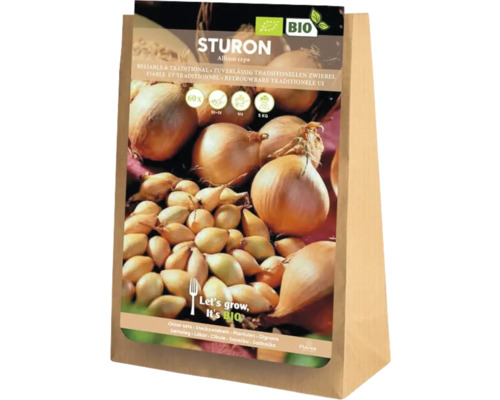 Förpackning med sättlök Sturon