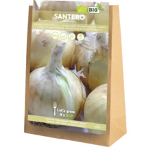 Santero lökset, certifierat ekologiska, förpackning med 60 stycken