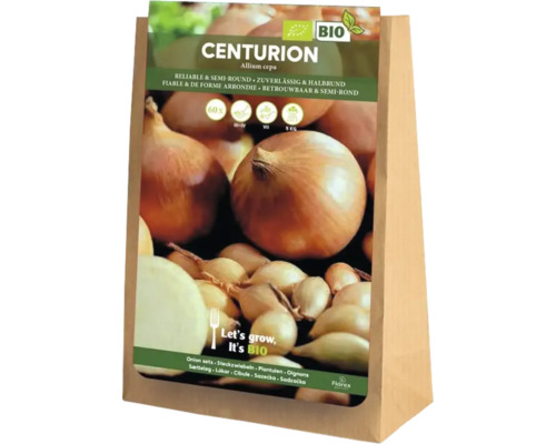 Förpackning med lök Centurion, Allium cepa, ekologisk kvalitet