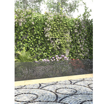 Trädgård med växtlighet, metallstängsel och mosaikbeläggning