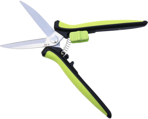 Trädgårdssax med fjäder