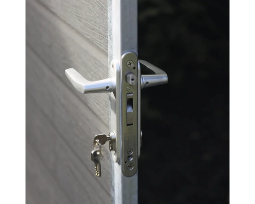 Dörr med dörrhandtag, lås och nyckel