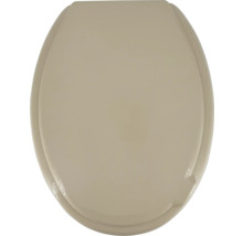 Toalettsits av plast