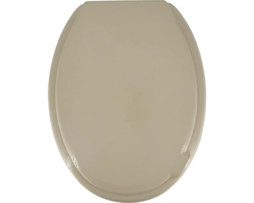 Toalettsits av plast