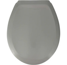 Grå toalettstol uppifrån