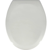 Toalettsits av plast