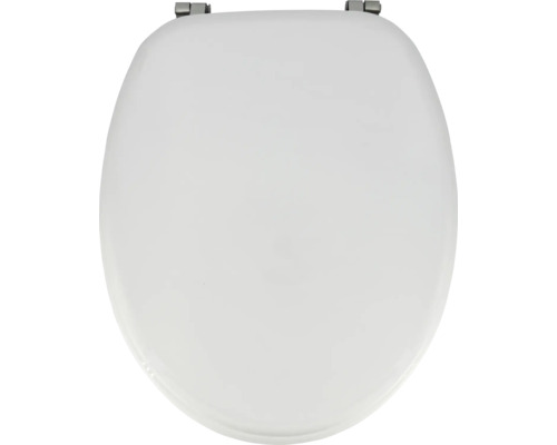 Toalettsits av plast med fäste