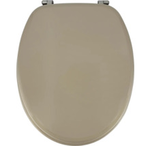 Toalettsits av plast