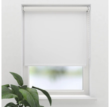 Vit rullgardin på fönstret med kedjedrag och växt