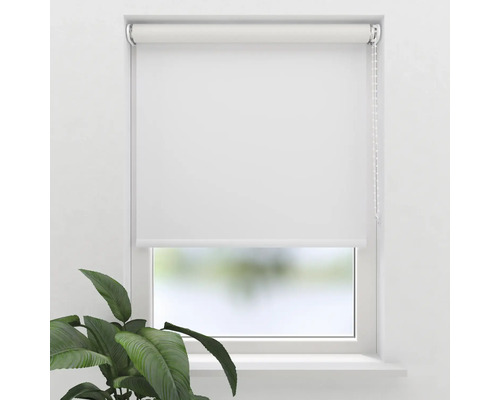 Vit rullgardin på fönstret med kedjedrag och växt