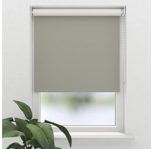 Fönster med rullgardin