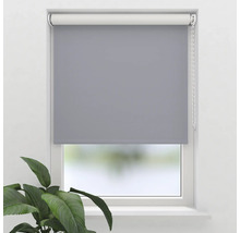 Grå rullgardin på fönstret med växter i rummet