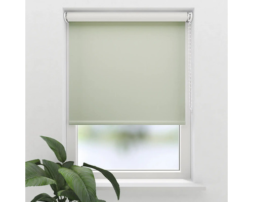 Grön fönsterrullgardin för mörkläggning av fönster