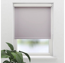 Fönster med mörkläggande rullgardin