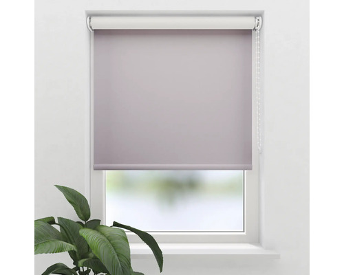 Fönster med mörkläggande rullgardin