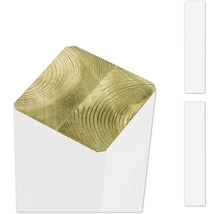 Trästolpe i tvärsnitt med årsringar