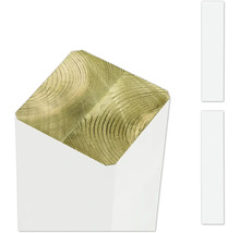 Träbjälke i tvärsnitt