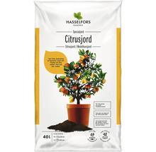 Hasselfors Garden Citrusjord 40 liter säck