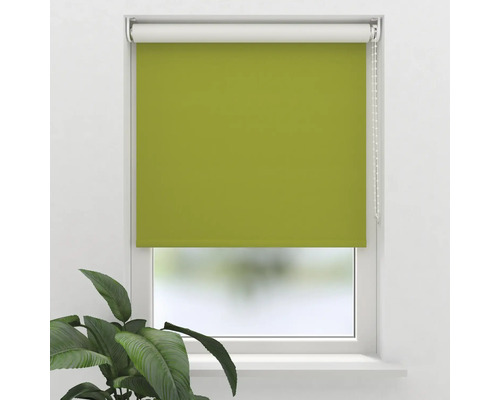 Gröna rullgardiner för fönsterdekoration och avskildhet