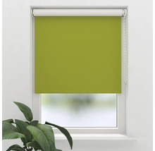 Grön fönsterrullgardin i en fönsterkarm